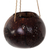 Coconut shell hanging basket, 'The Sea Turtle' - Coconut Shell Hanging Basket Turtle from Indonesia