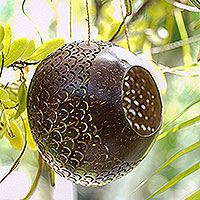 Featured review for Coconut shell birdhouse, Sea Scales