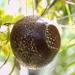 Coconut shell birdhouse, 'Sea Scales' - Coconut Shell Hanging Birdhouse from Indonesia