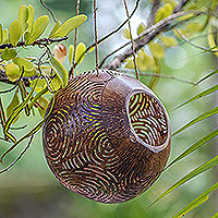 Featured review for Coconut shell birdhouse, Circle Maze