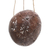 Coconut shell birdhouse, 'Dancing Suns' - Coconut Shell Agel Cord Hanging Birdhouse from Indonesia
