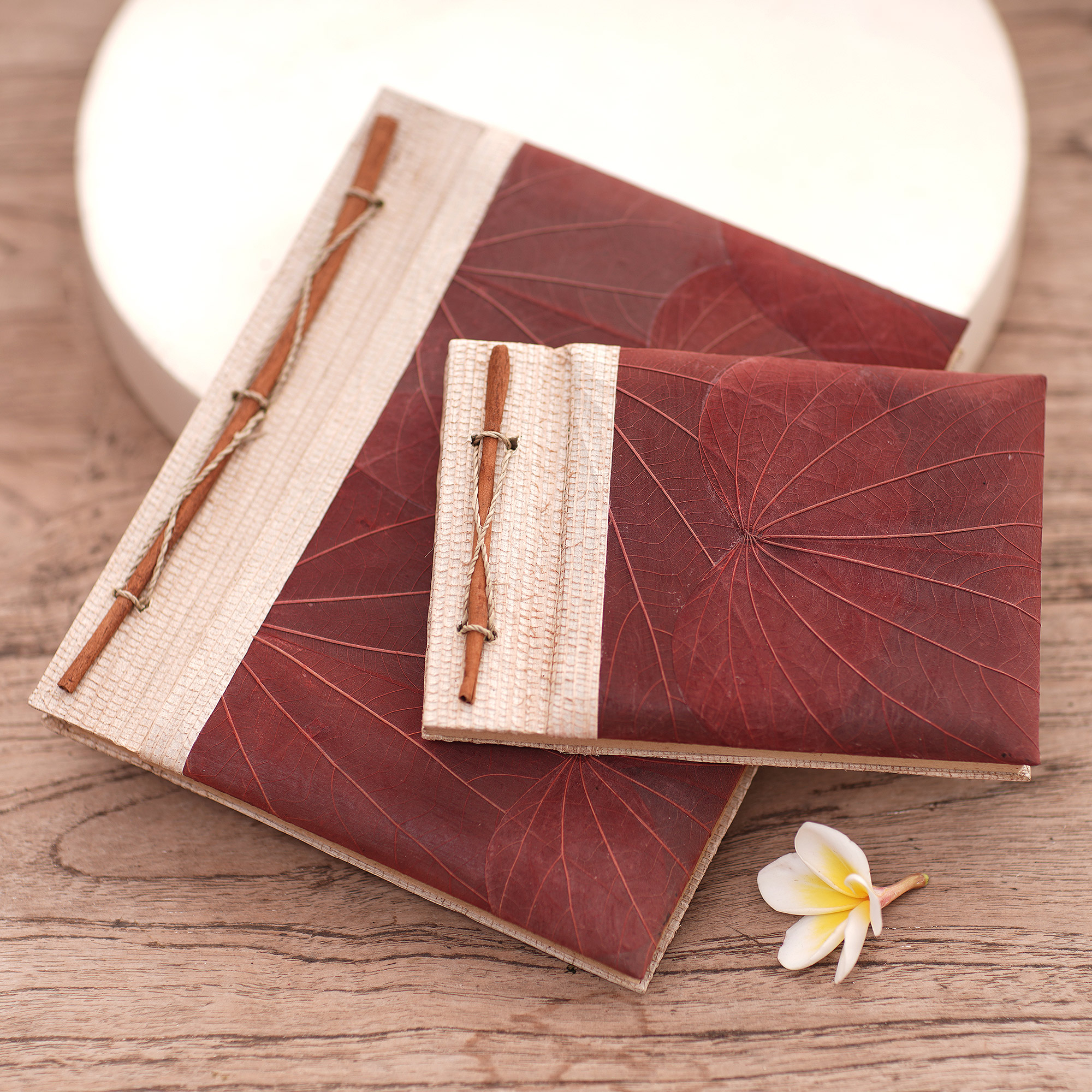 Hand Crafted Journal/Notebook Turtle Cover Blank Tan Paper Wood Leaves