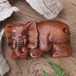 Wood puzzle box, 'Staring Elephant' - Hand Carved Wood Puzzle Box Elephant Shape from Indonesia