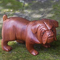Wood sculpture, 'Fierce Bulldog' - Hand Carved Suar Wood Bulldog Puppy Sculpture from Bali