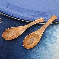Featured review for Teak wood spoons, Elegant Companions (pair)