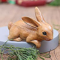 Handcrafted Suar Wood Rabbit Sculpture in Brown from Bali,'Curious Rabbit in Brown'