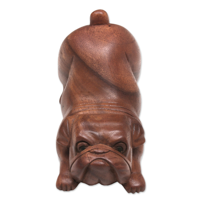 Escultura de madera - Escultura de Bulldog de madera de Suar hecha a mano artesanal de Bali
