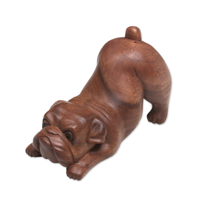 Wood sculpture, 'Bulldog' - Artisan Handcrafted Suar Wood Bulldog Sculpture from Bali