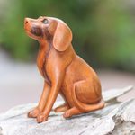 Wood sculpture, 'Loyal Dog' - Artisan Handcrafted Suar Wood Dog Sculpture from Bali