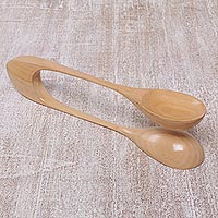 Wood percussion instrument, Spoons