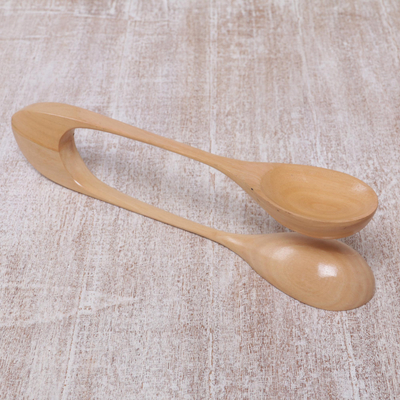 Wood percussion instrument, Spoons