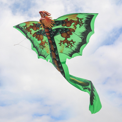Nylon kite, 'Verdant Dragon' - Hand-Painted Green Dragon Nylon Kite from Bali
