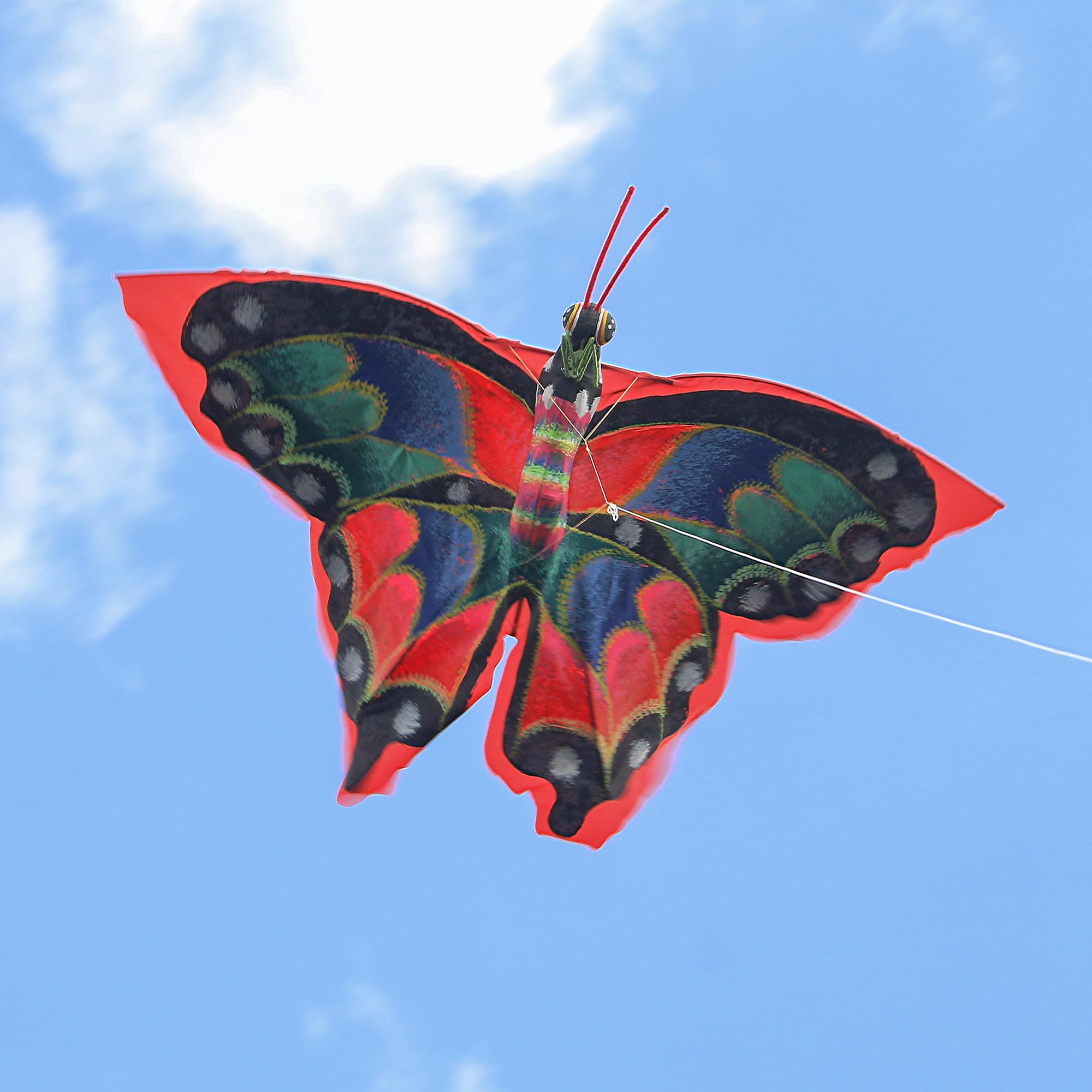 HandPainted Colorful Butterfly Kite from Bali Rainbow Monarch NOVICA