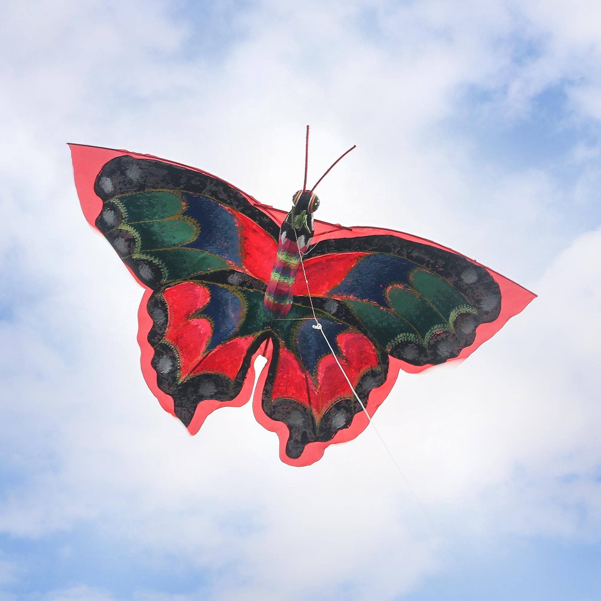 HandPainted Colorful Butterfly Kite from Bali Rainbow Monarch NOVICA