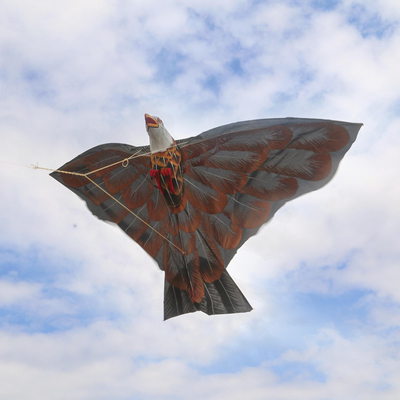 Nylon kite, Soaring Hawk