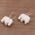 Bone dangle earrings, 'White Elephant' - Sleek Cow Bone Carved Elephant Earrings with Silver Hooks (image 2b) thumbail