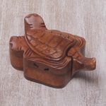 Wood puzzle box, 'Gliding Turtle' - Turtle Motif Wood Puzzle Box Hand Carved in Bali