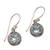 Blue topaz dangle earrings, 'Cool Radiance' - Three Carat Blue Topaz Dangle Earrings in Sterling Silver thumbail