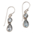 Blue topaz dangle earrings, 'Double Drops' - Blue Topaz Dangle Earrings in Sterling Silver Bezels thumbail