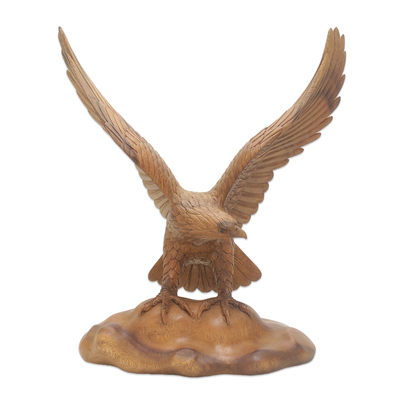 Wood sculpture 'Eagle Landing' - Realistic Suar Wood Bird Sculpture of an Eagle Landing