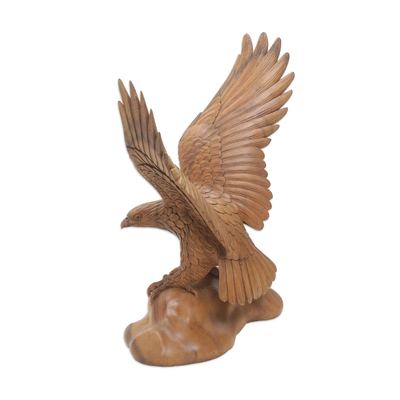 Holzskulptur 'Eagle Landing' (Adlerlandung) - Realistische Suar Holz Vogel Skulptur eines Adlers Landung