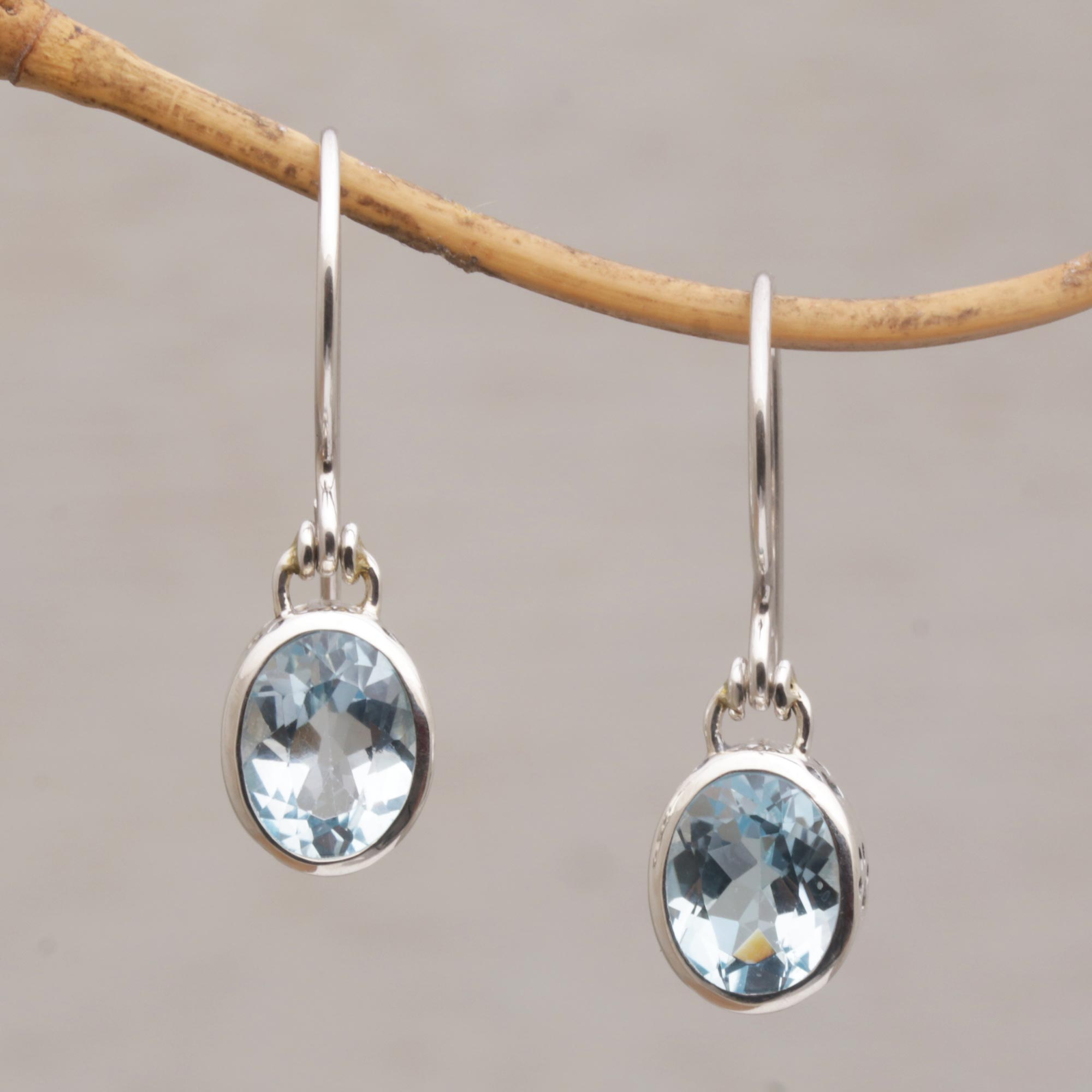Pawprints & Crystals Dangle Earrings