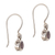 Amethyst dangle earrings, 'Glowing Paws' - Amethyst and Sterling Silver Dangle Earrings from Bali