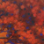 'Forest Corner' - Signed Impressionist Painting of Three Trees from Java (image 2b) thumbail