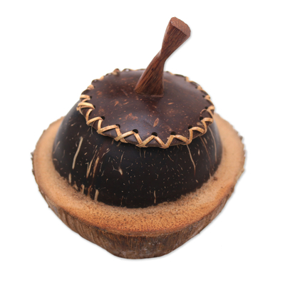 Coconut Shell Decorative Box Hand Carved in Bali