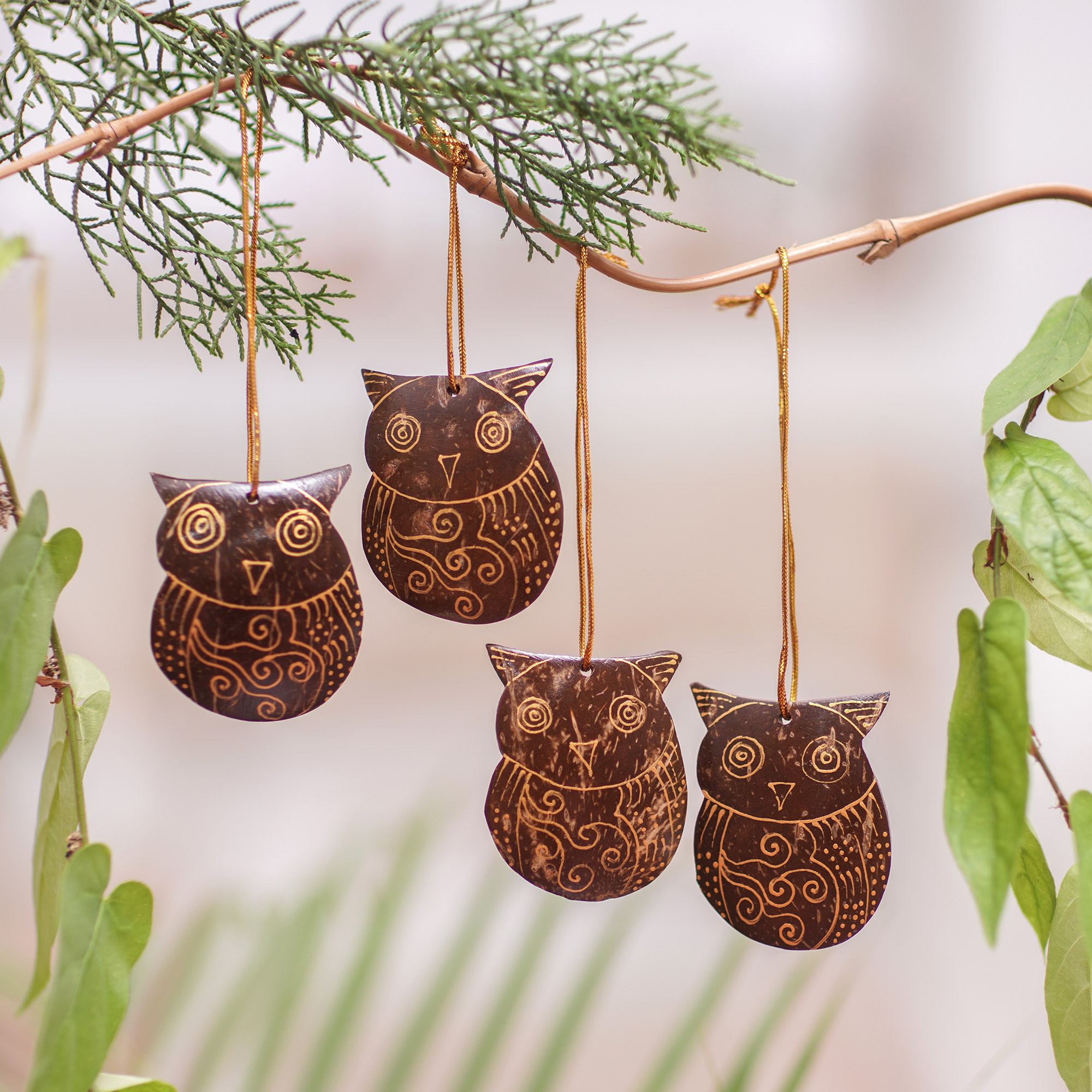 Set of Javanese Handmade Coconut Shell Owl Figure Ornaments - Watchful