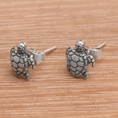 Sterling silver stud earrings, 'Sweet Shells' - Artisan Made Sterling Silver Turtle Stud Earrings from Bali