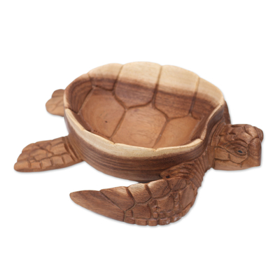 Sammelbehälter aus Holz - Schildkröten-Catchall aus Suar-Holz, handgeschnitzt auf Bali