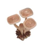 Wood sculpture, 'Majestic Mushroom' - Hand-Carved Jempinis Wood Forest Mushroom Sculpture