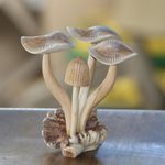 Wood sculpture, 'Majestic Mushroom' - Hand-Carved Jempinis Wood Forest Mushroom Sculpture