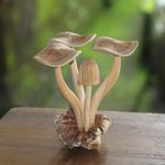 Wood sculpture, 'Majestic Mushroom' - Hand-Carved Jempinis Wood Forest Mushroom Sculpture