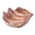 Wood catchall, 'Clam Shell' - Suar Wood Clam Shell Catchall from Bali thumbail