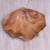 Wood catchall, 'Clam Shell' - Suar Wood Clam Shell Catchall from Bali (image 2b) thumbail