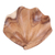 Wood catchall, 'Clam Shell' - Suar Wood Clam Shell Catchall from Bali