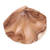 Wood catchall, 'Clam Shell' - Suar Wood Clam Shell Catchall from Bali (image 2d) thumbail
