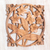 Wood relief panel, 'Bali Plumeria' - Hand-Carved Floral Suar Wood Relief Panel from Bali (image 2b) thumbail