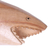 Wood sculpture, 'Thresher Shark' - Hand Carved Wood Thresher Shark Sculpture from Bali