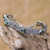 Labradorite link bracelet, 'Sukawati Wangi' - Labradorite and Sterling Silver Link Bracelet from Bali (image 2) thumbail