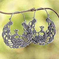 Sterling silver hoop earrings, 'Peacock Garden'