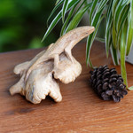 Wood figurine, 'Crawler' - Hand-Carved Wood Lizard Figurine from Bali