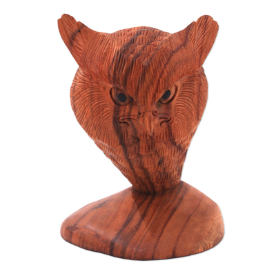 Wood sculpture, 'Owl Bust' - Suar Wood Bust Sculpture of an Owl from Bali