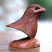 Wood sculpture, 'Eagle Bust' - Suar Wood Bust Sculpture of an Eagle from Bali