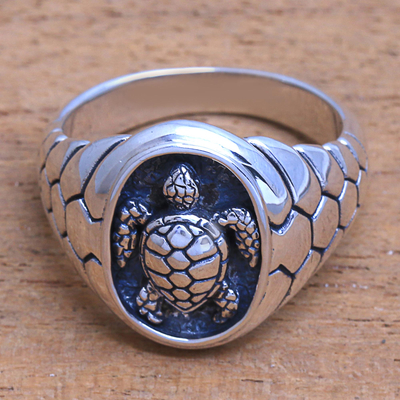 Sterling Silver Turtle Cocktail Ring from india - Fascinating Turtle |  NOVICA