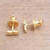 Gold plated sterling silver stud earrings, 'Golden Aquarius' - 18k Gold Plated Sterling Silver Aquarius Stud Earrings