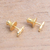 Gold plated sterling silver stud earrings, 'Golden Aquarius' - 18k Gold Plated Sterling Silver Aquarius Stud Earrings