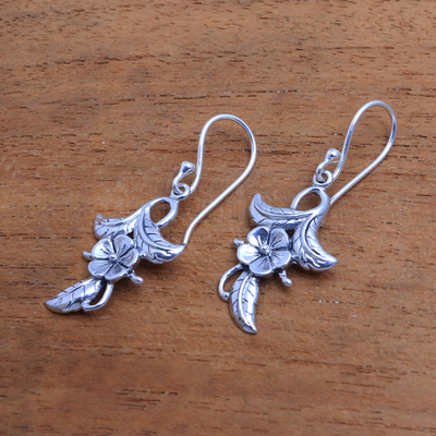 Ohrringe aus Sterlingsilber, 'Frangipani-Blüten'. - 925er Sterling Silber Blumenohrringe aus Bali